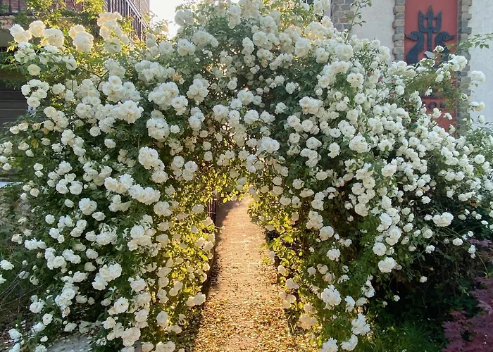 изгрев-бяла *